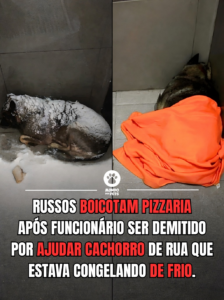 O Caso Dodobonya: Como a Empatia de um Entregador da Dodo Pizza Comoveu o Mundo