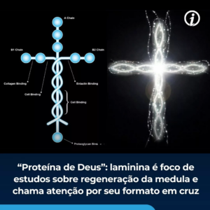 PROTEÍNA DE DEUS